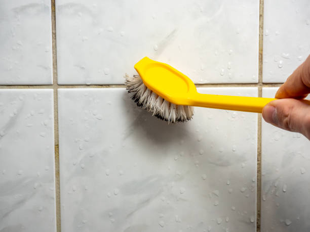 Best Mold Damage Repair  in Waco, TX