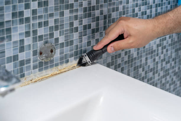 Best Best Mold Removal Companies  in Waco, TX