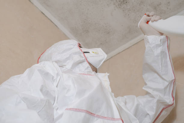 Best Residential Mold Removal  in Waco, TX