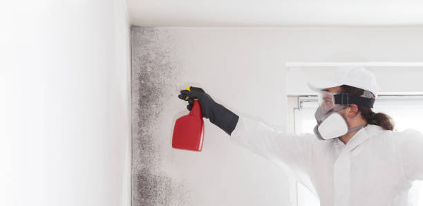 Best Mold Cleaning Services  in Waco, TX